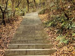 -杭州半山国家森林公园