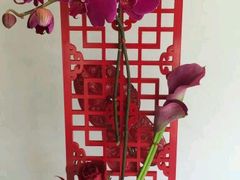 -FEI FEI FLOWER鲜花店·气球派对·宝宝宴布置(虹口德必运动Loft店)