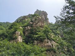 -大岭沟猕猴桃谷风景区