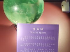 -中国地质大学逸夫博物馆