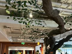 -大视光学•LINDBERG林德伯格•全球手工眼镜集合店(王府井店)