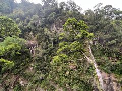 -海南热带雨林国家公园吊罗山景区