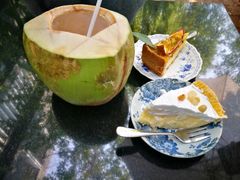 -Fern Forest Cafe