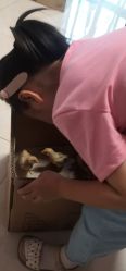 -造物庄园 萌宠纪(苏州湾歌林公园店)