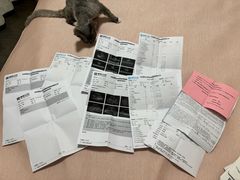 -美联众合动物医院·24h京西诊疗中心