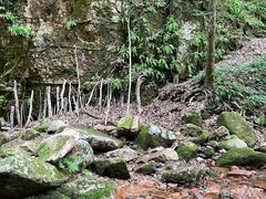 -五女峰国家森林公园