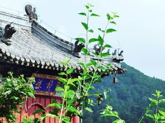 -潭柘寺景区