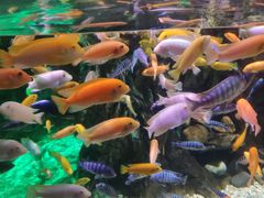 -太平洋海底世界