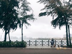 -万绿园