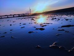 -南汇新城海滩