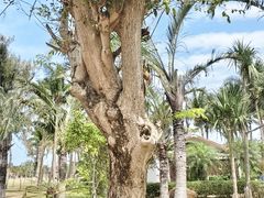 -白沙门生态公园