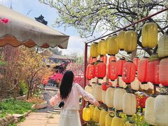 -桃源山庄·水蜜桃采摘·柴火鸡·烧烤团建(龙泉山店)