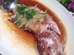 东星斑-金悦轩海鲜酒家(银河店)