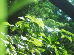 -晓港公园