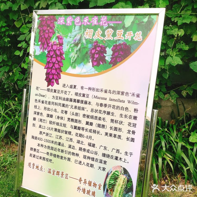  【攻略】跟着我一起玩转华南植物园