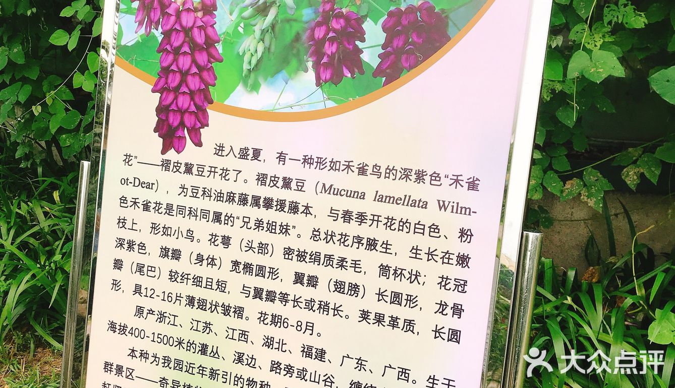  【攻略】跟着我一起玩转华南植物园