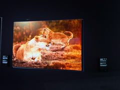 -罗红摄影艺术馆