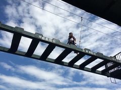 -梦幻奥陶纪景区