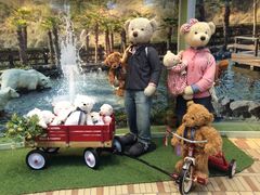 -济州岛泰迪熊博物馆