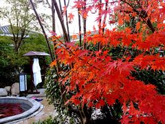 iphone_upload_pic-余姚阳明温泉山庄