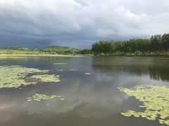 -塞罕坝国家级自然保护区