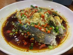 -全乐鱼馆·淳牌有机鱼直营店