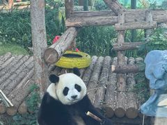 -大连森林动物园