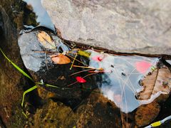 -溪口-滕头旅游景区