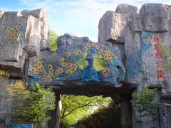 -金孔雀温泉旅游度假村