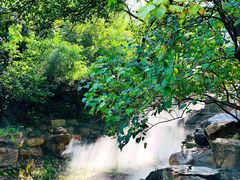 -北京西山国家森林公园