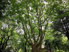 -华山儿童公园