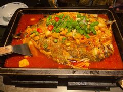湄公鱼-炉鱼(亲橙里店)