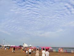 -碧海金沙