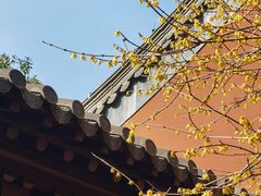 -钱王祠