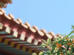 -西安大兴善寺