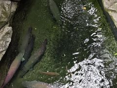 -青青世界