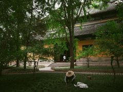 -西园寺