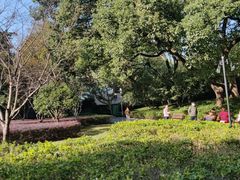 -徐家汇源景区-衡山公园