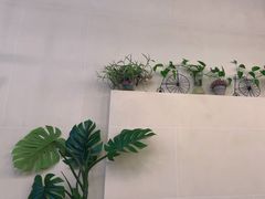-三猫黑鱼花(南大店)