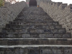 -黄贤森林公园
