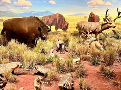 -陕西自然博物馆