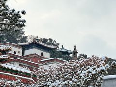 -颐和园