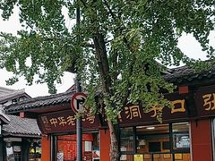 -洞子口张老二凉粉(文殊院店)