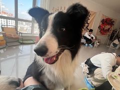 -大悦城(沈阳中街店)