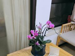 -张钰强中医正骨推拿连锁(华发商都店)