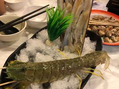-鲜入围煮花胶鸡海鲜火锅