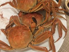 -东方红海鲜百汇(国际大厦店)