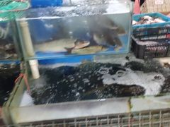 -四道口水产市场