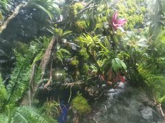 -石家庄市动物园