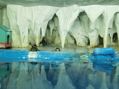 -太平洋海底世界
